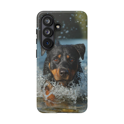 Rottweiler Dog Water Splash
