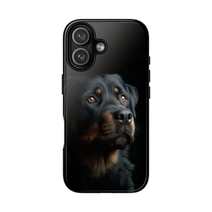Rottweiler Portrait Dog Natural Light