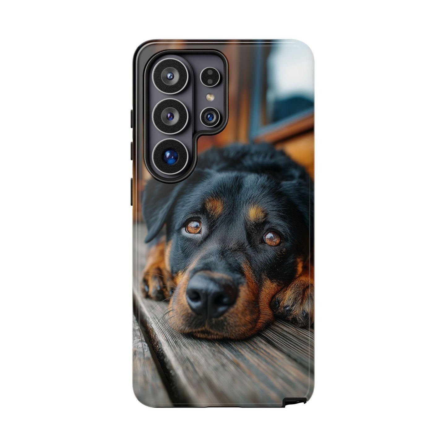 Rottweiler Dog Wooden Deck