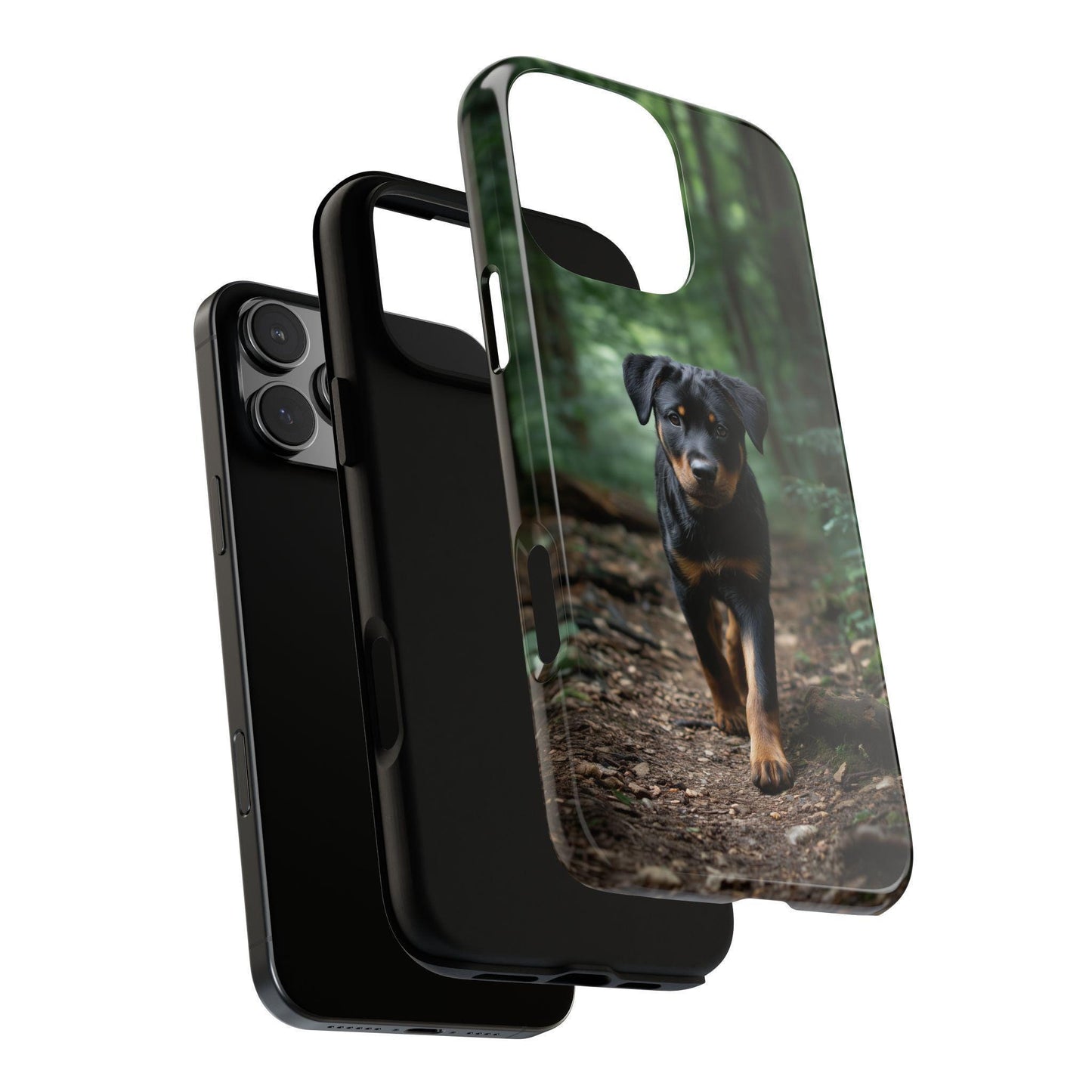 Rottweiler Dog Dirt Trail
