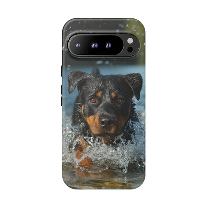 Rottweiler Dog Water Splash