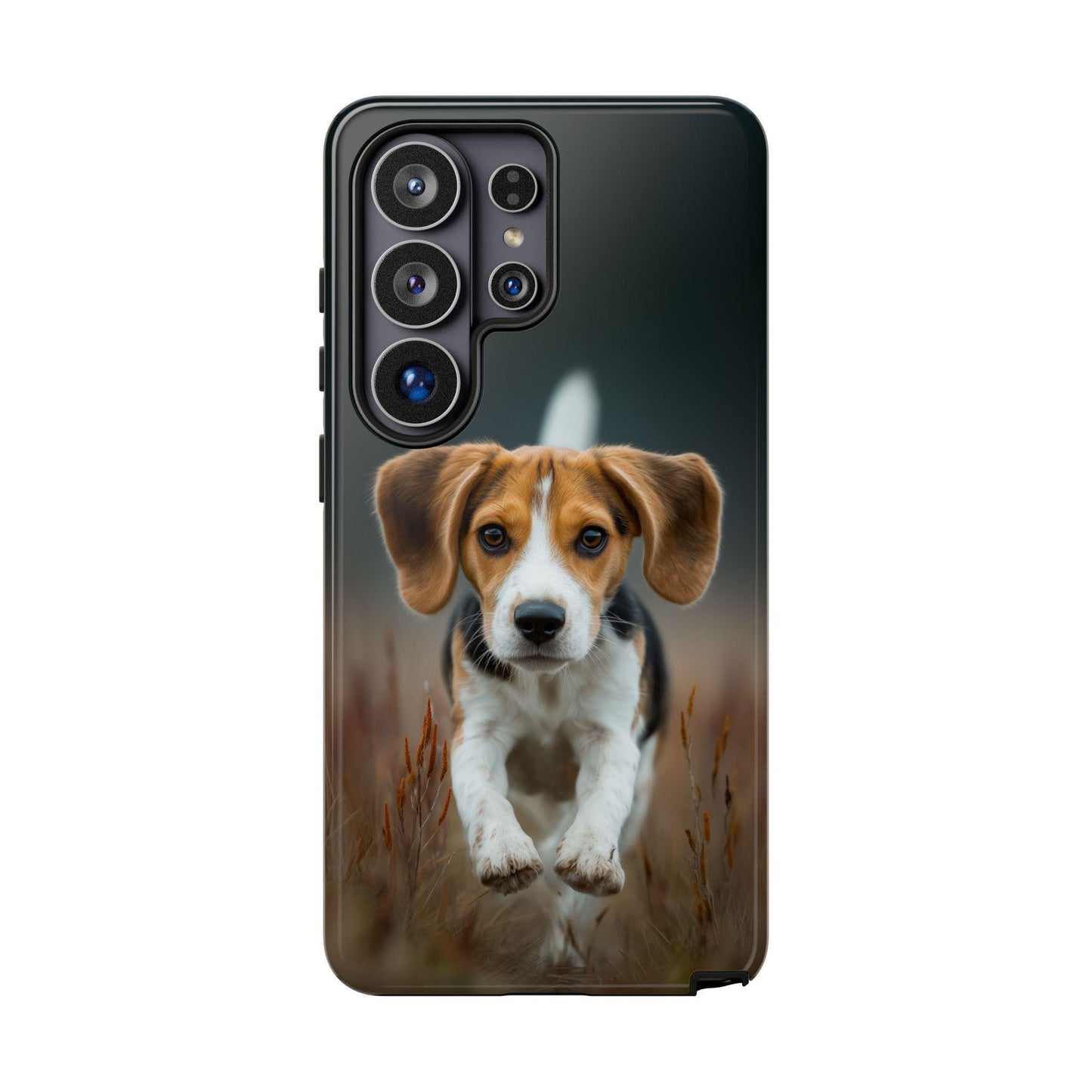 Beagle Dog Meadow