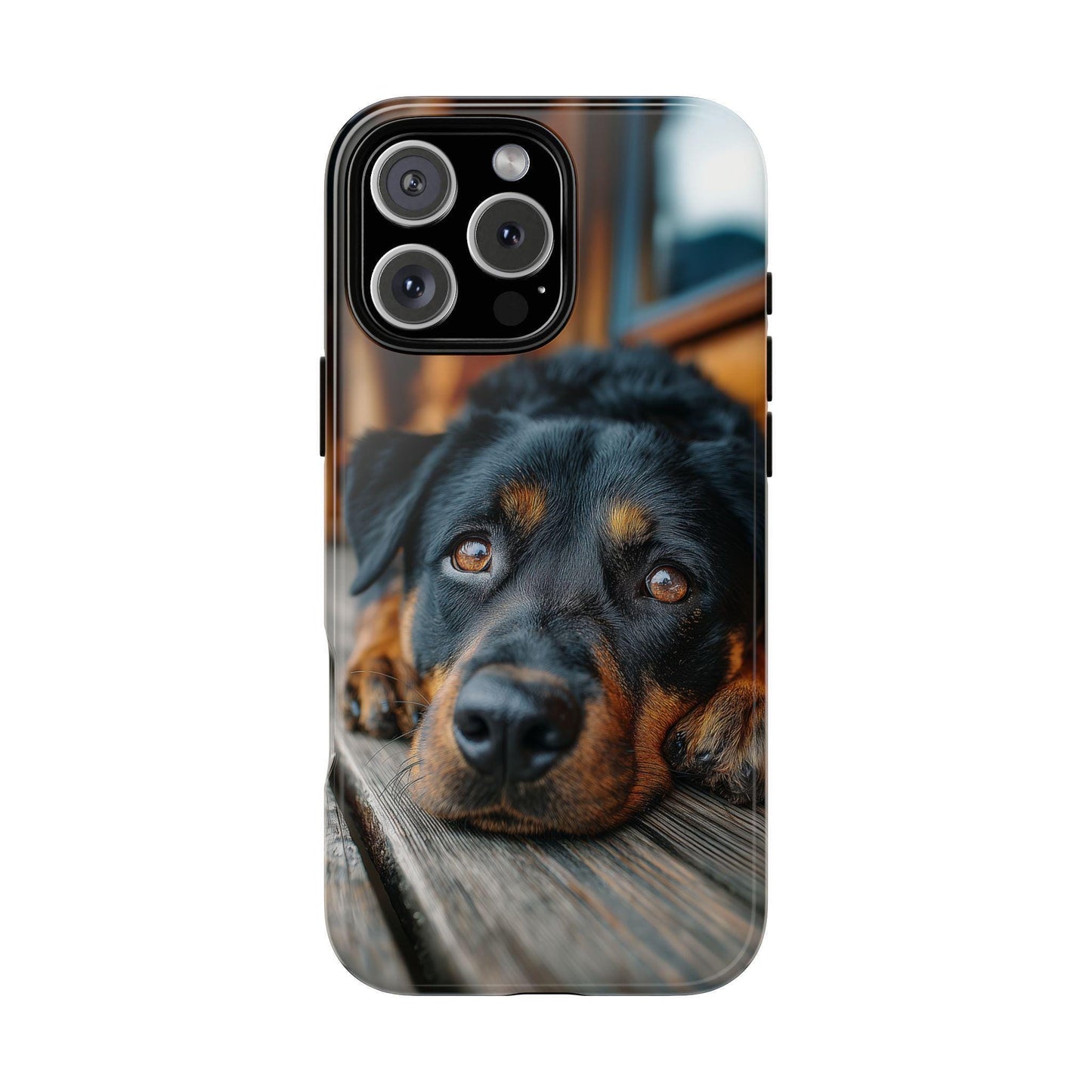 Rottweiler Dog Wooden Deck
