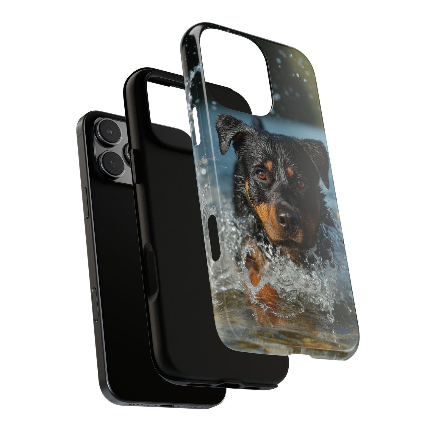 Rottweiler Dog Water Splash