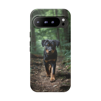 Rottweiler Dog Dirt Trail
