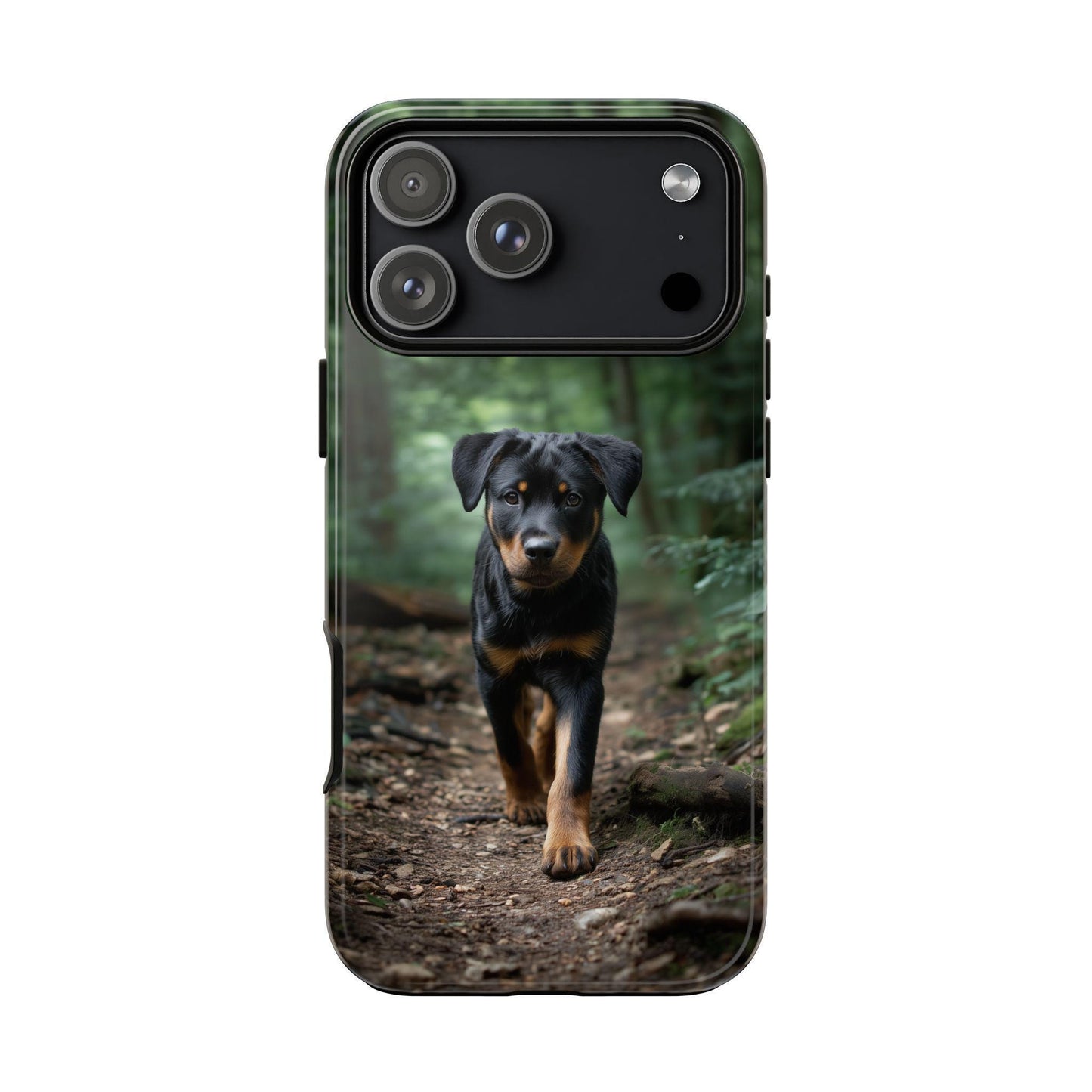 Rottweiler Dog Dirt Trail