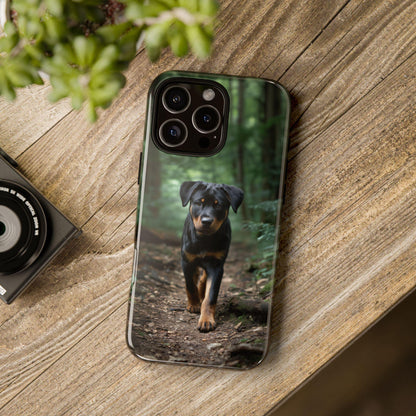 Rottweiler Dog Dirt Trail