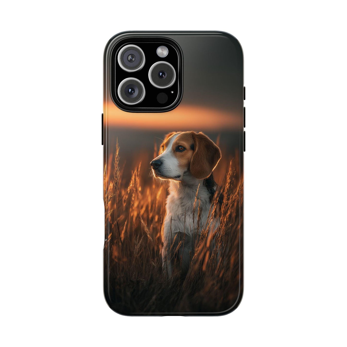 Tall Grass Beagle Dog Sunset