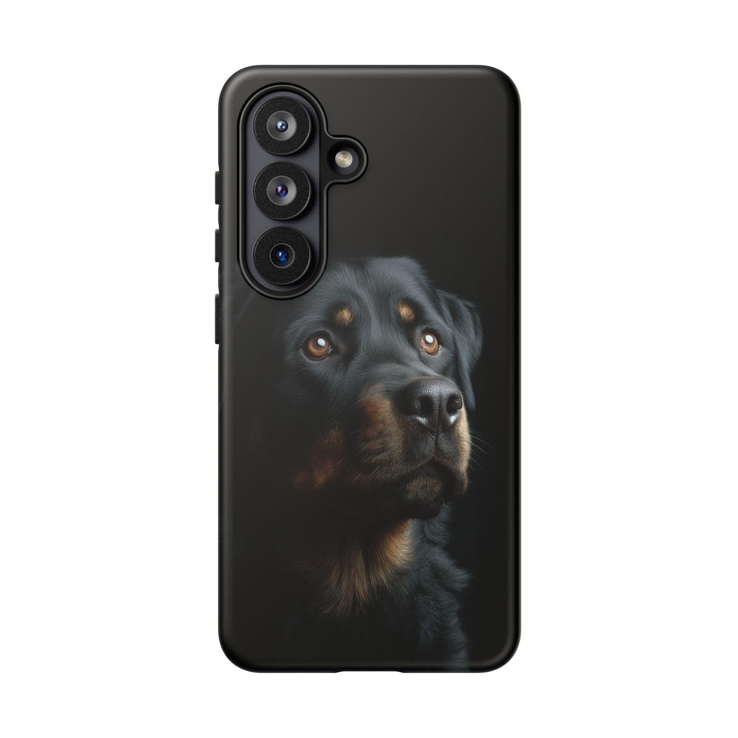 Rottweiler Portrait Dog Natural Light