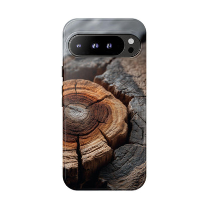 Arboreal Topography Tree Trunk Bark