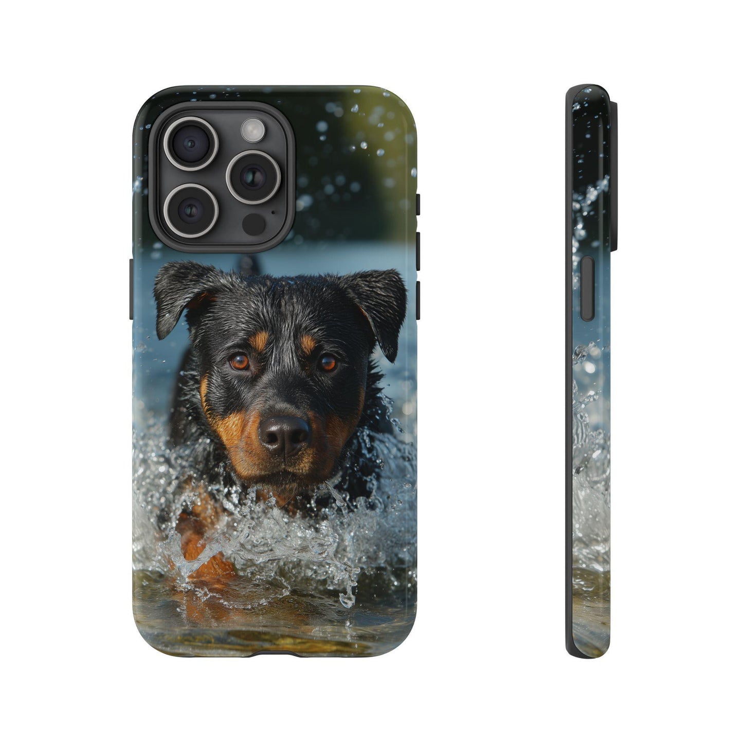 Rottweiler Dog Water Splash