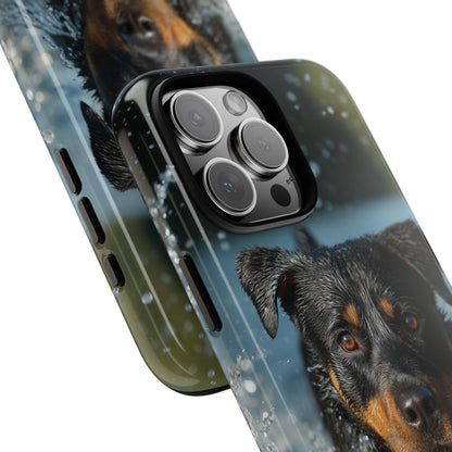 Rottweiler Dog Water Splash
