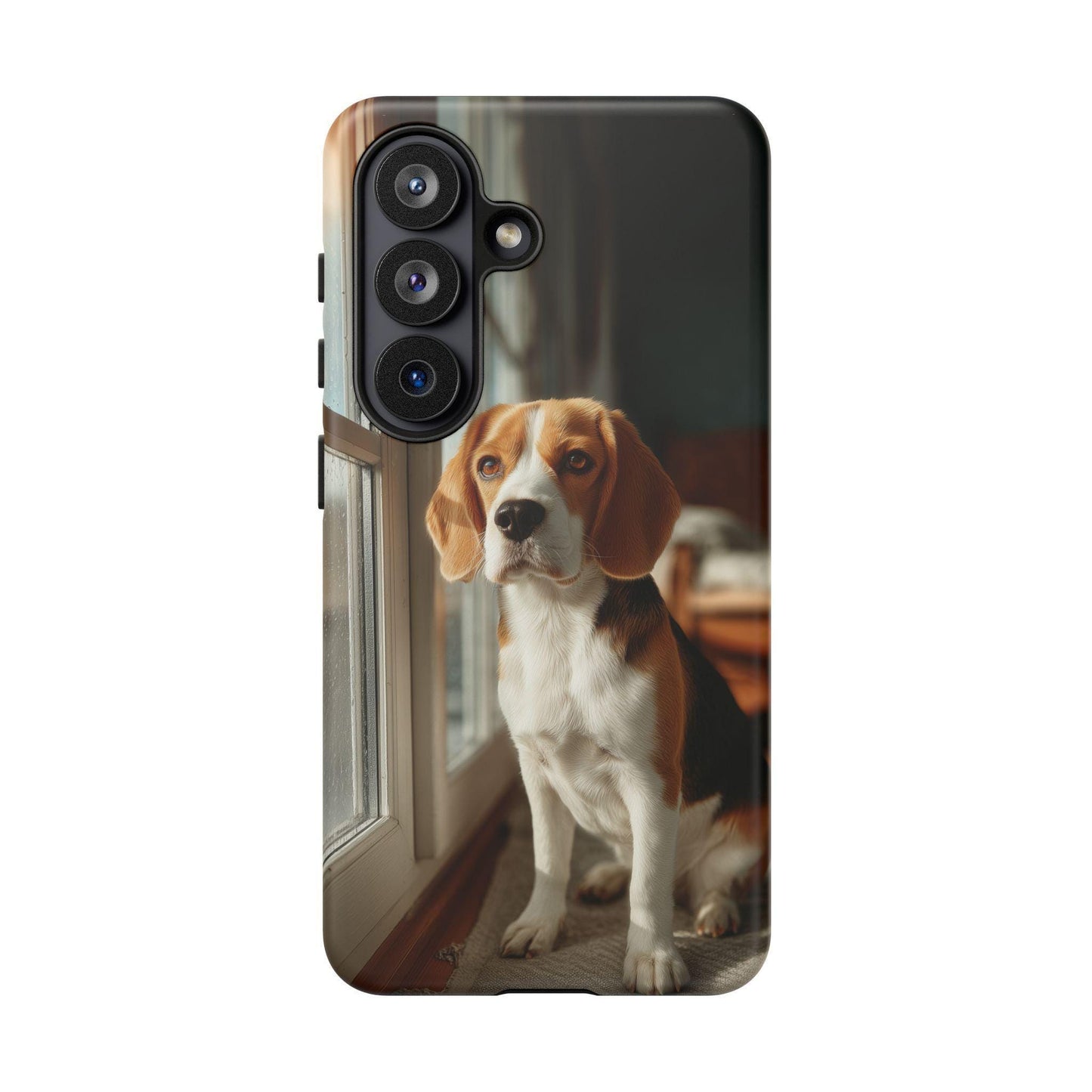 Beagle Sitting By Window