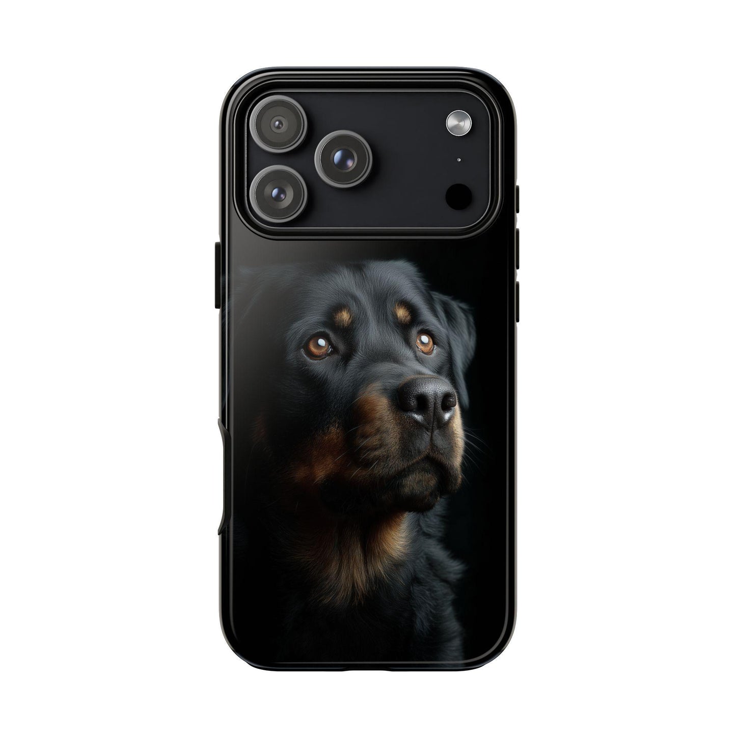 Rottweiler Portrait Dog Natural Light