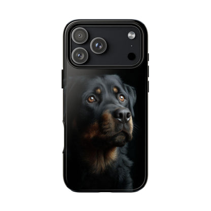 Rottweiler Portrait Dog Natural Light