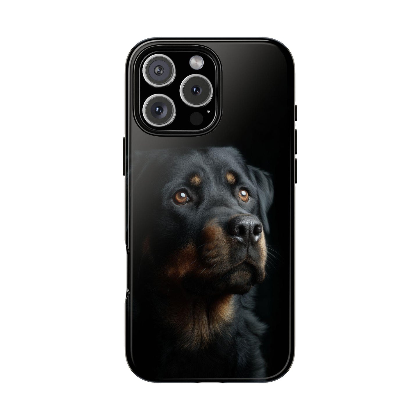 Rottweiler Portrait Dog Natural Light