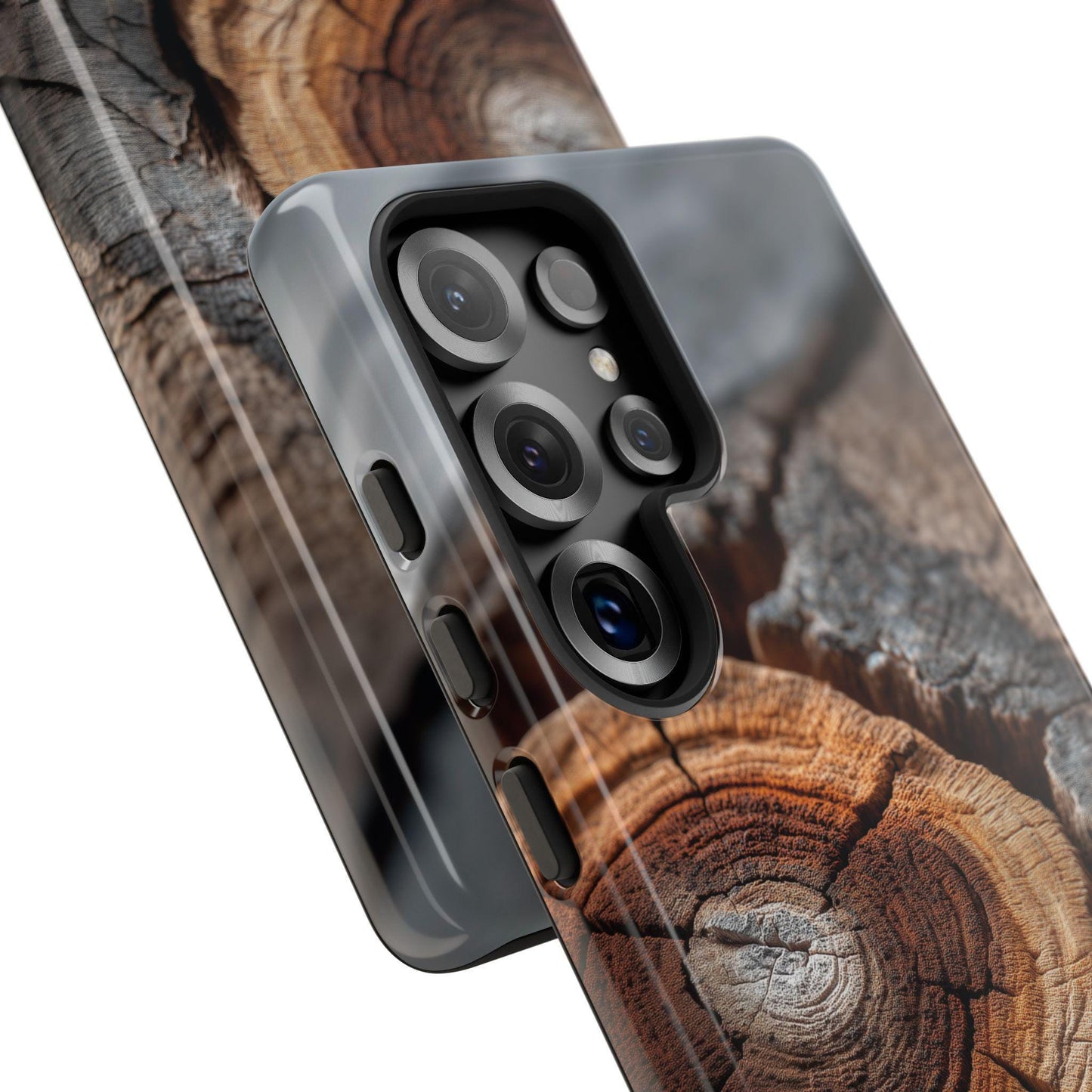 Arboreal Topography Tree Trunk Bark