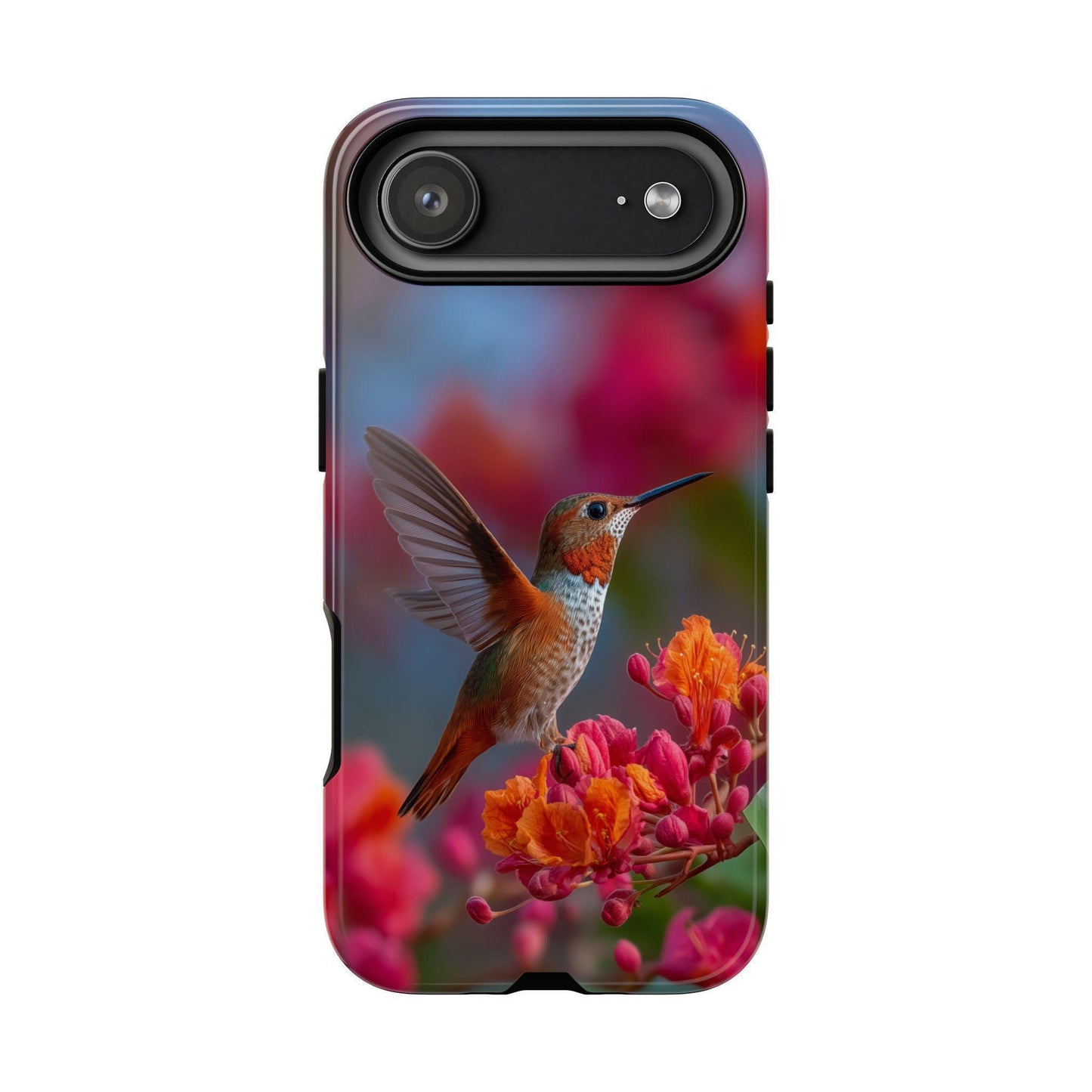 Hummingbird Tropical Tree Blooms