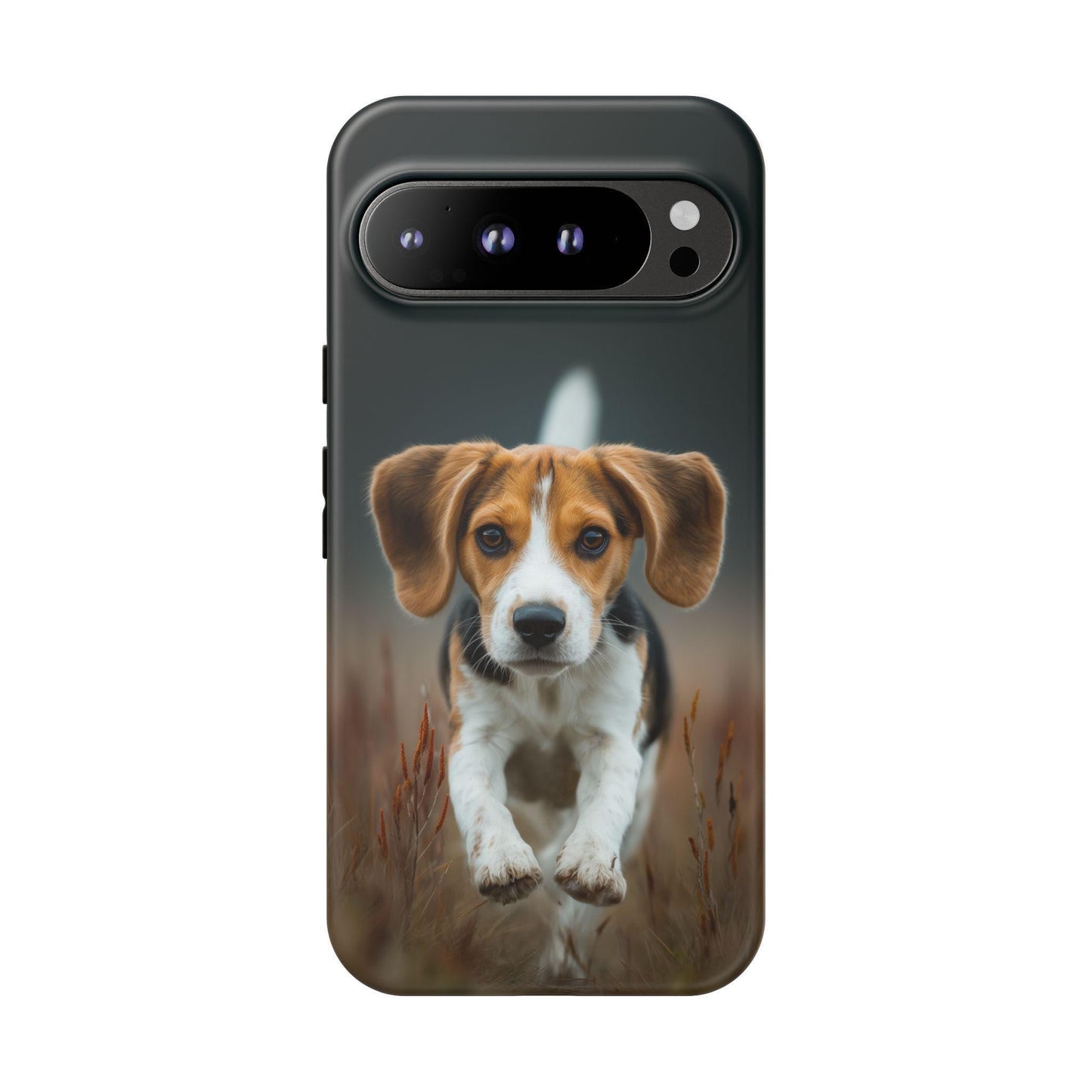 Beagle Dog Meadow