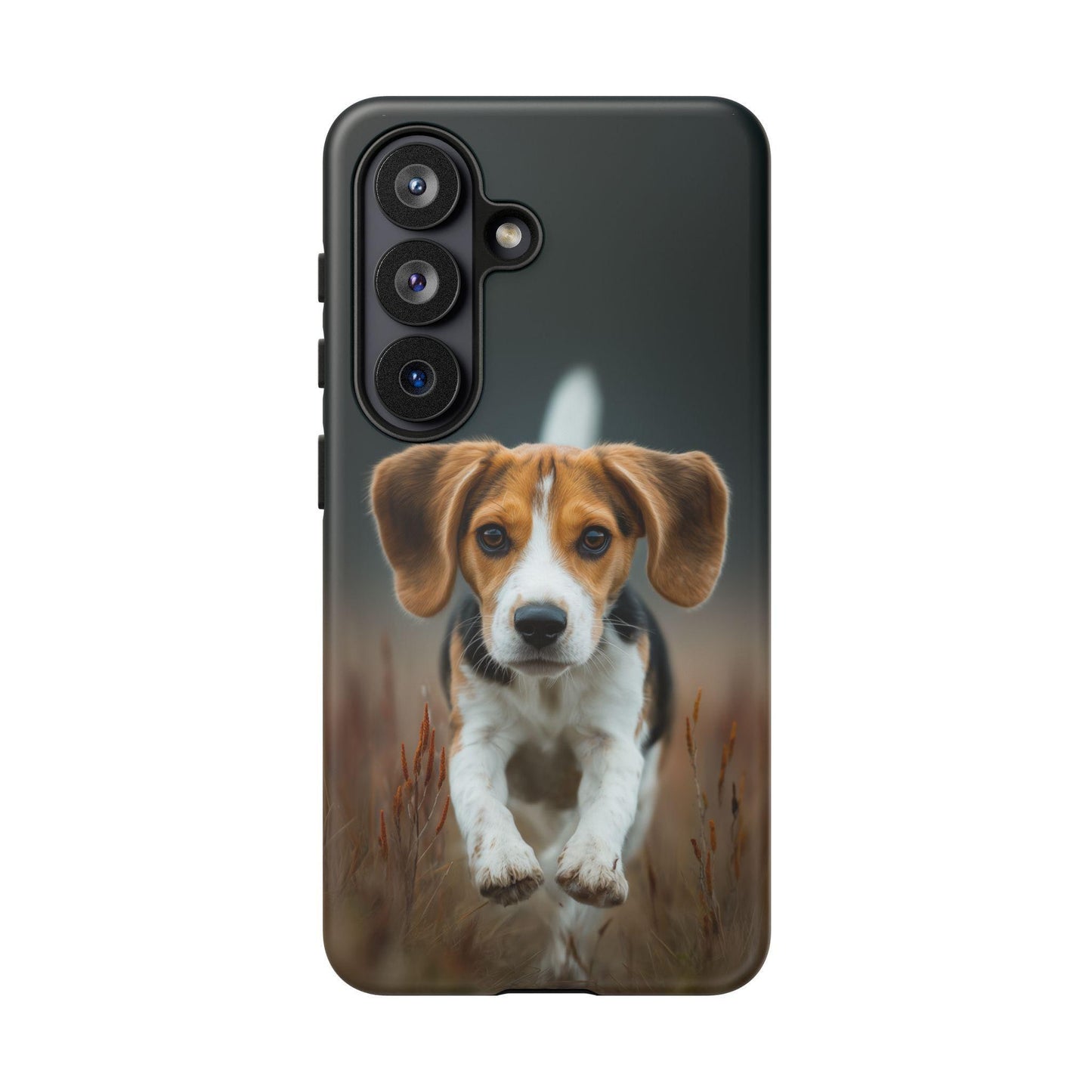 Beagle Dog Meadow