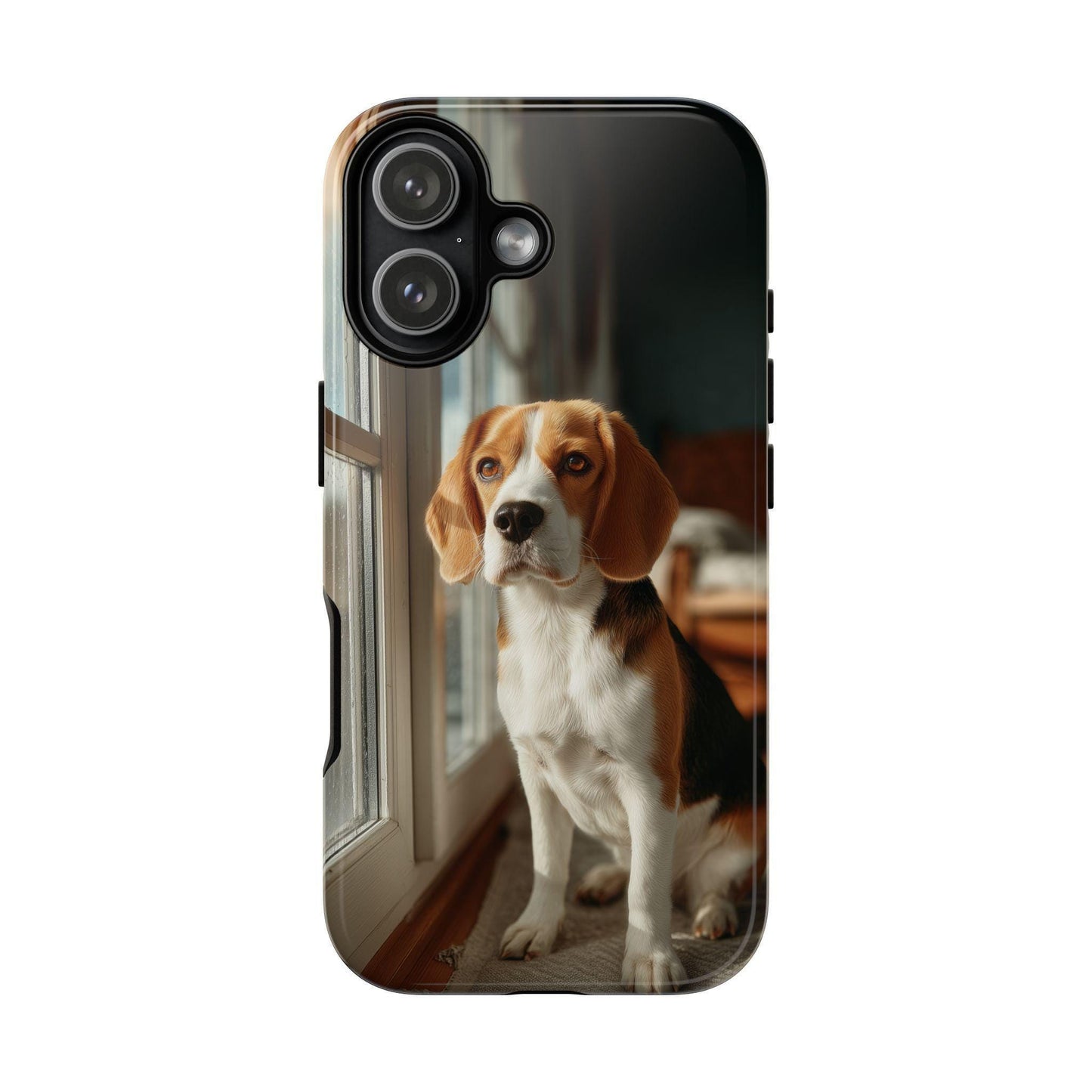 Beagle Sitting By Window