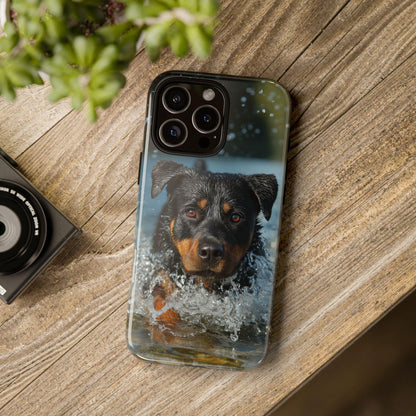 Rottweiler Dog Water Splash