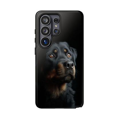 Rottweiler Portrait Dog Natural Light
