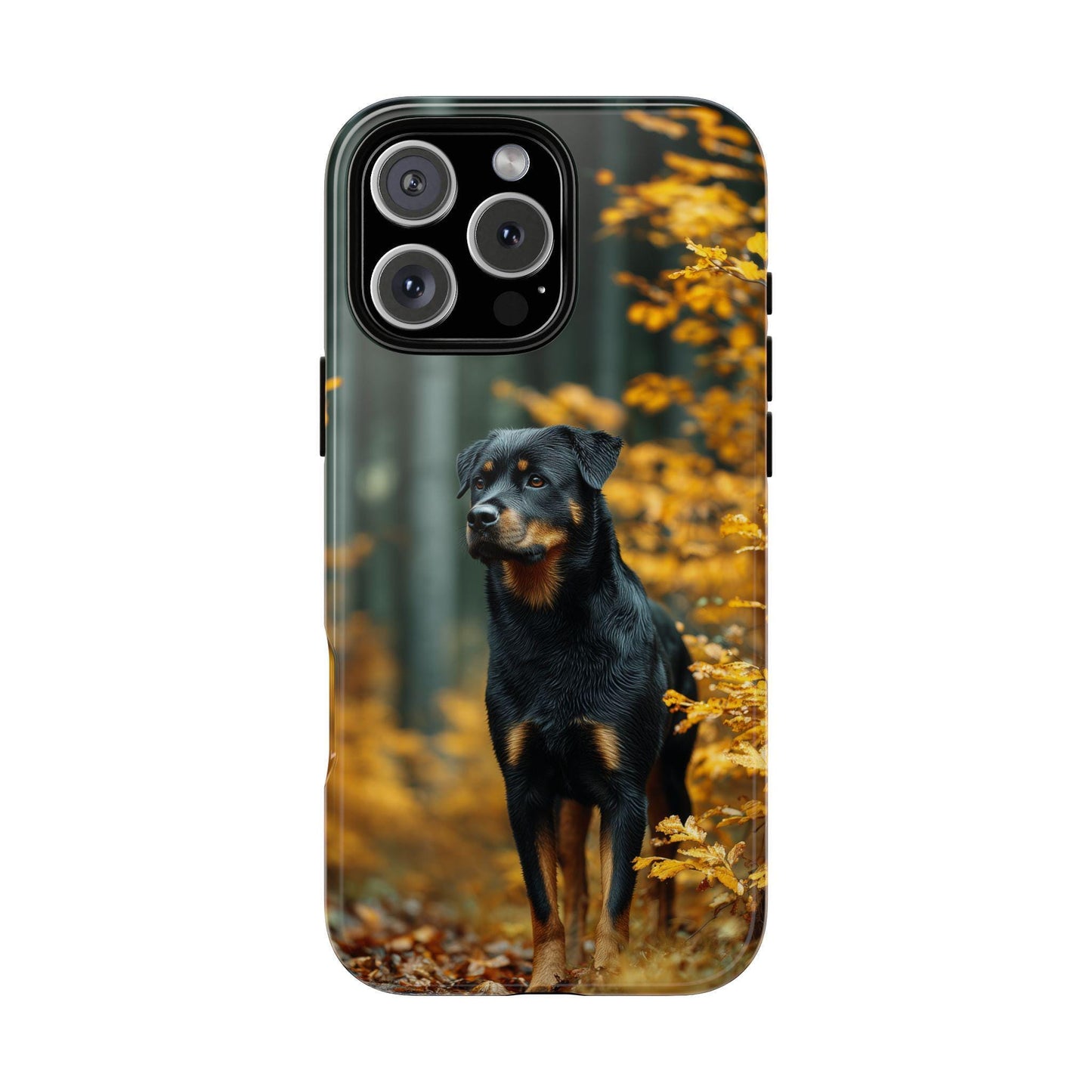 Autumn Forest Rottweiler Dog