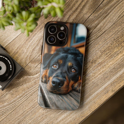 Rottweiler Dog Wooden Deck