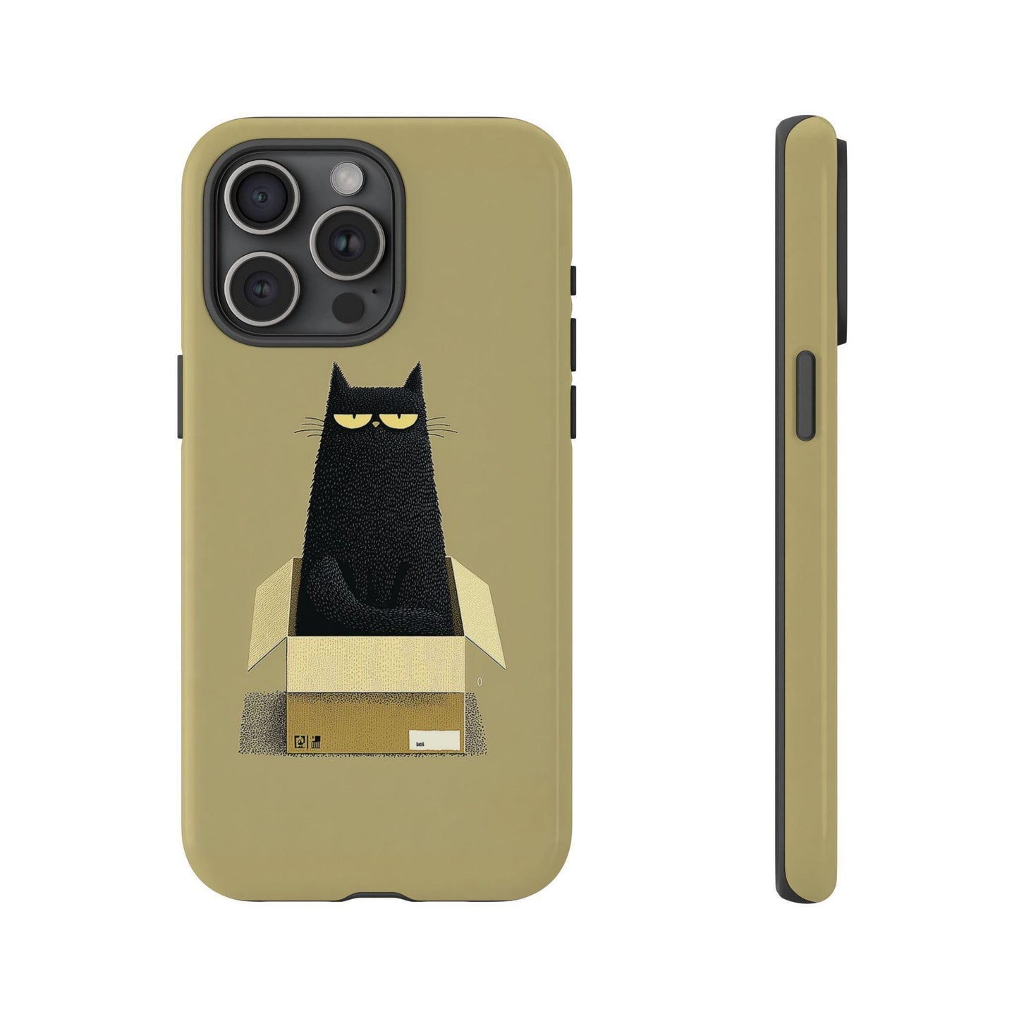 Grumpy Black Cat Cardboard Box