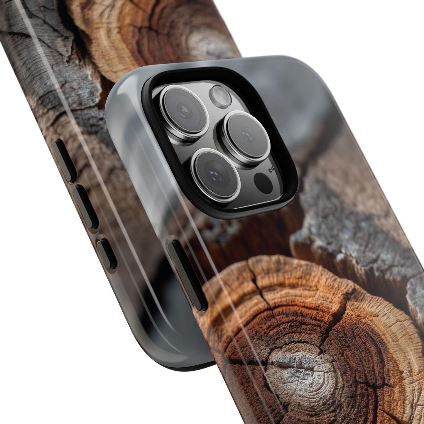 Arboreal Topography Tree Trunk Bark