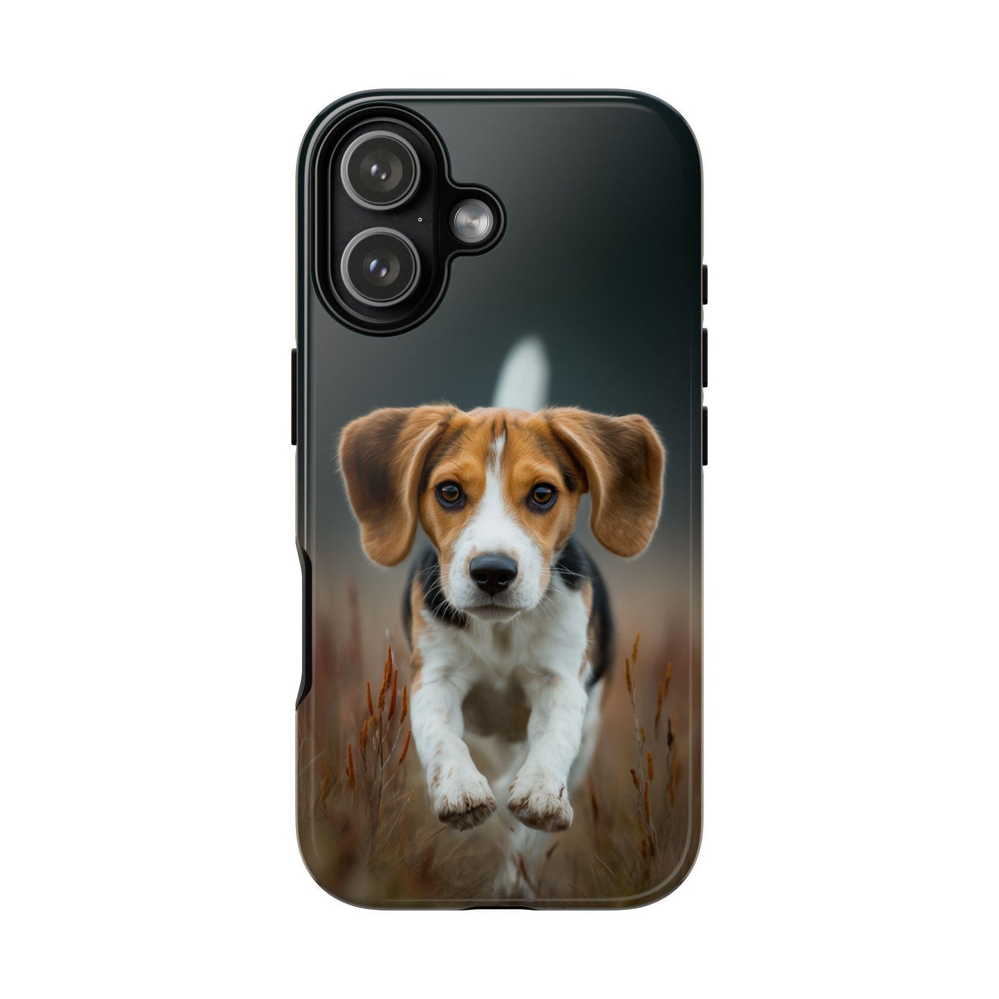 Beagle Dog Meadow