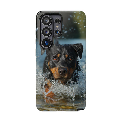 Rottweiler Dog Water Splash