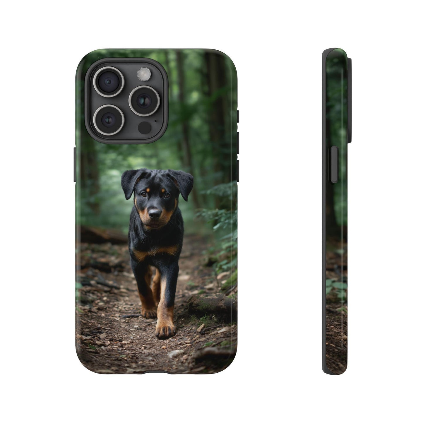 Rottweiler Dog Dirt Trail