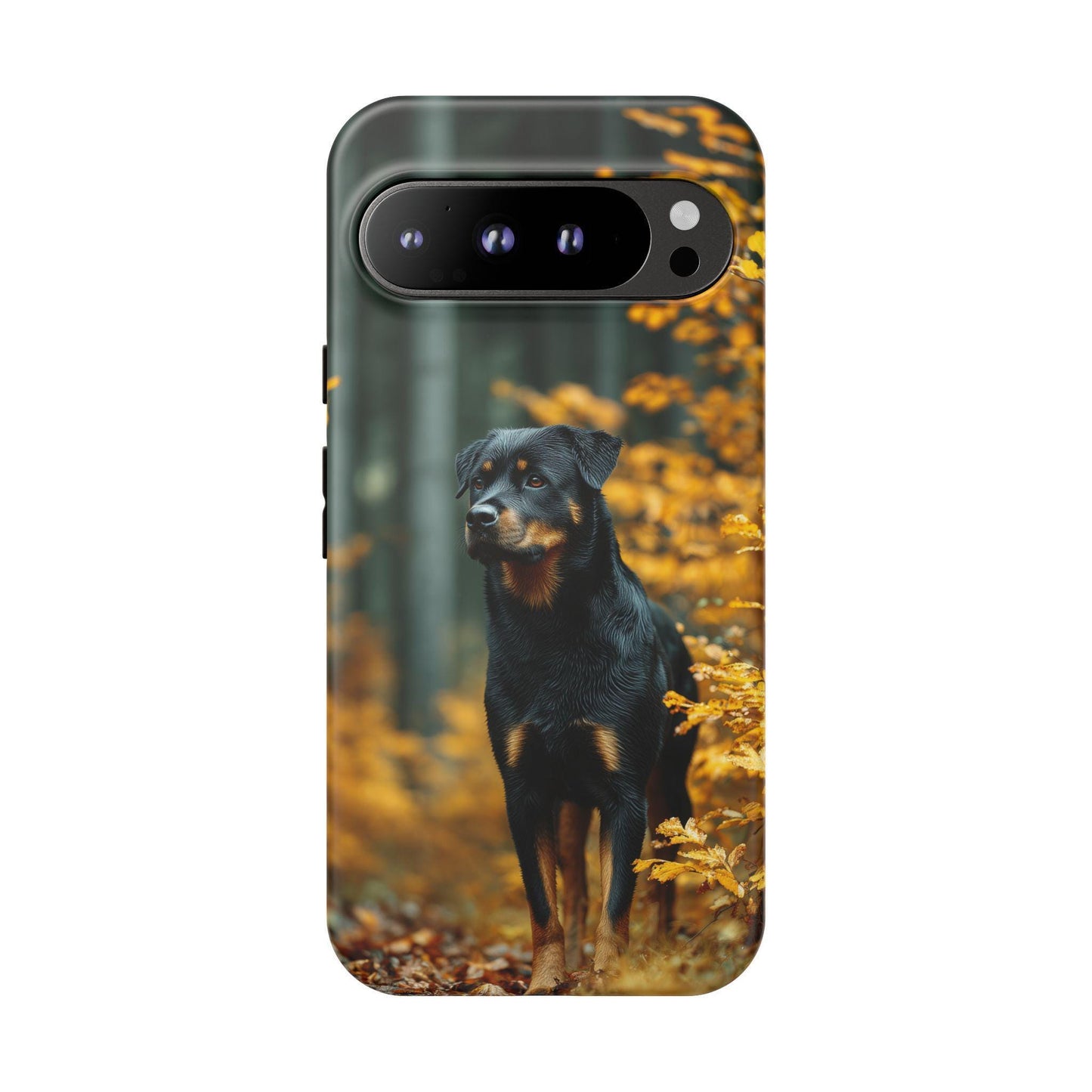 Autumn Forest Rottweiler Dog