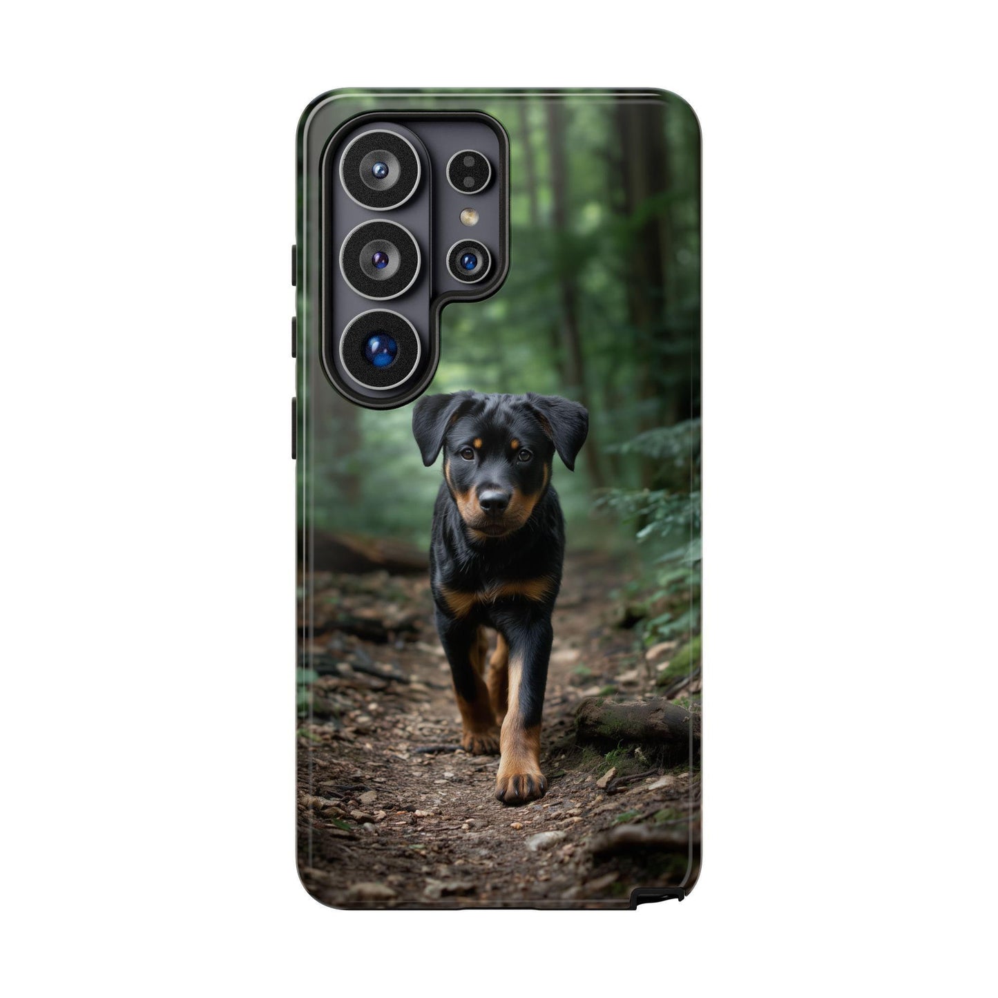 Rottweiler Dog Dirt Trail