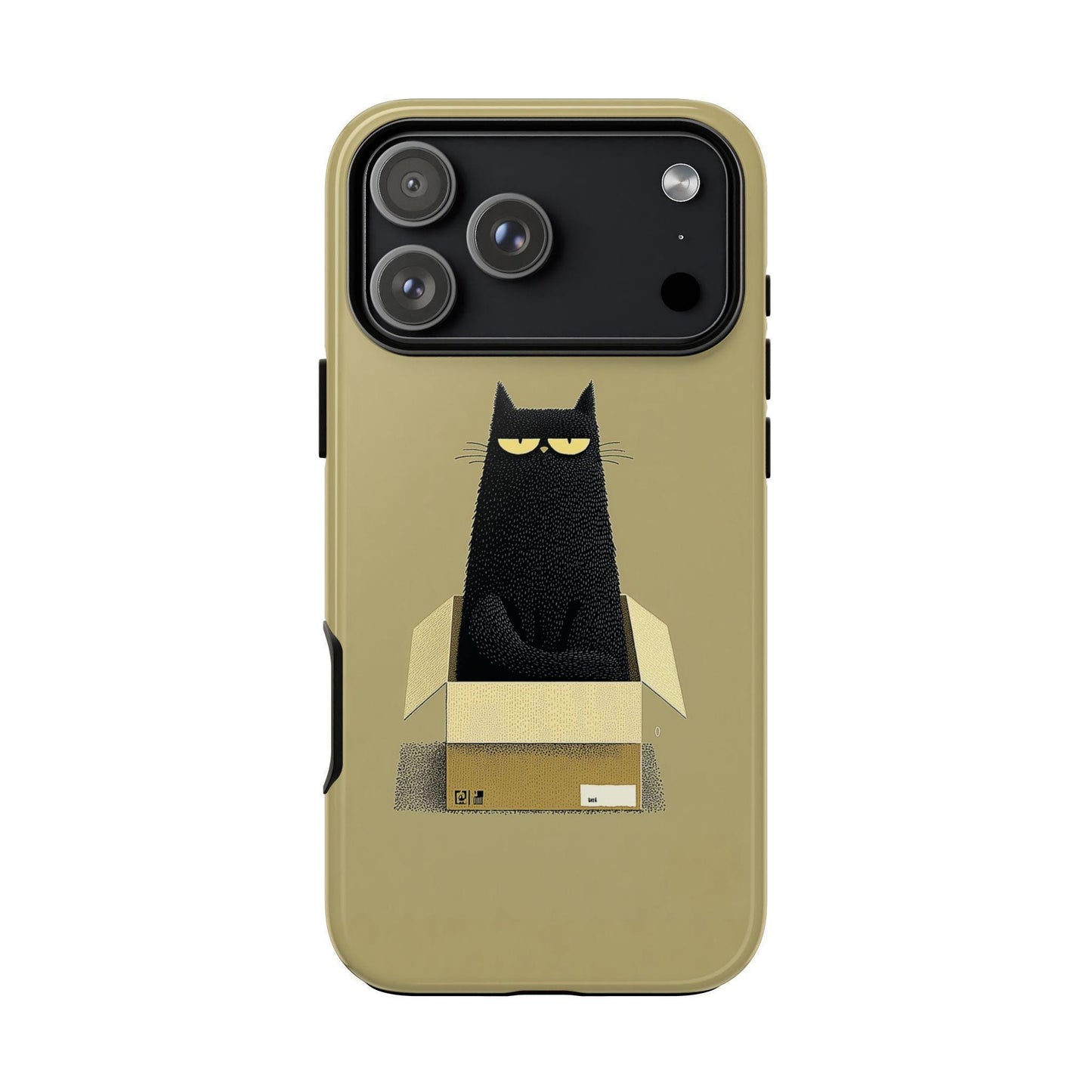 Grumpy Black Cat Cardboard Box