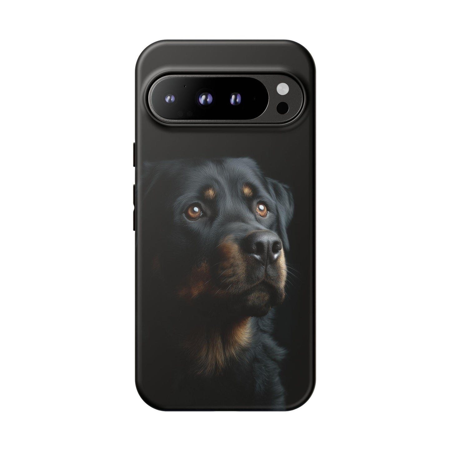 Rottweiler Portrait Dog Natural Light