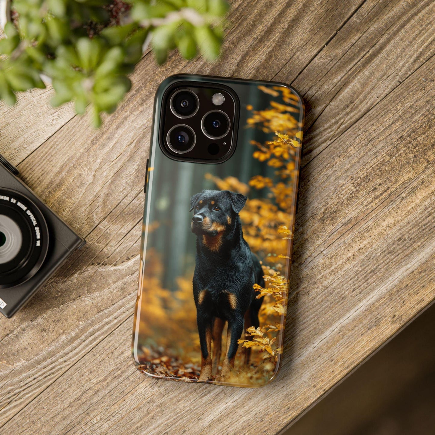 Autumn Forest Rottweiler Dog
