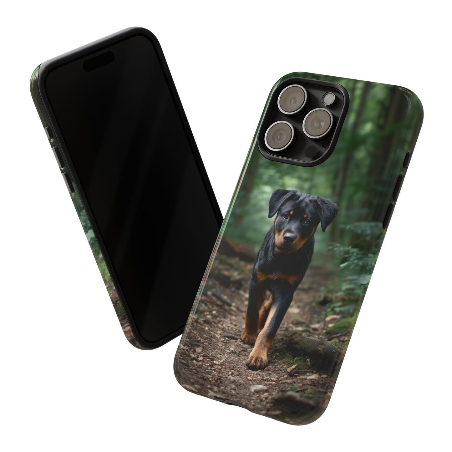 Rottweiler Dog Dirt Trail