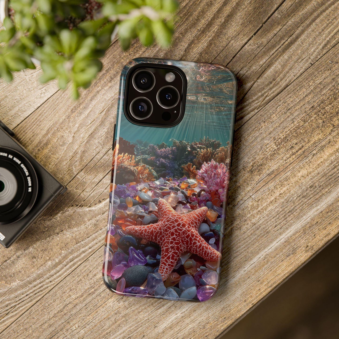 Starfish Coral Reef Gem Rocks