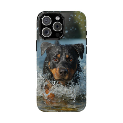 Rottweiler Dog Water Splash
