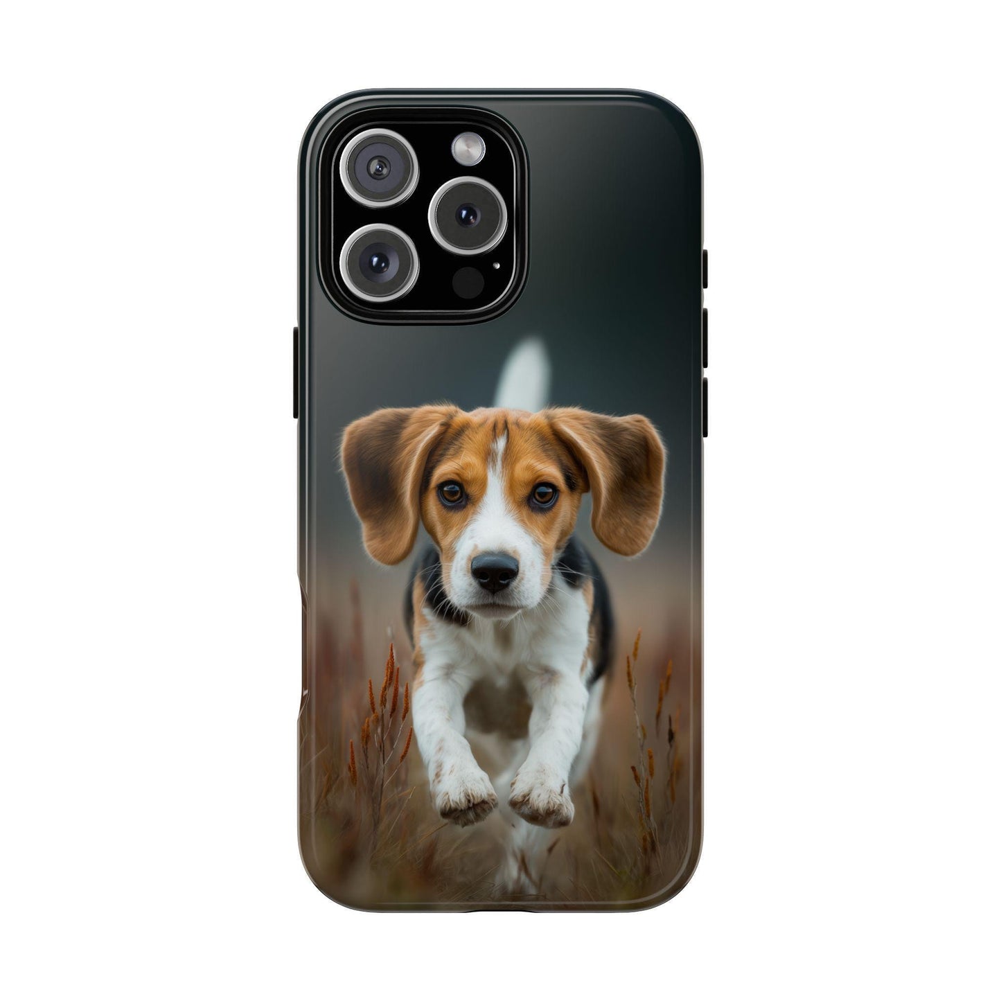 Beagle Dog Meadow